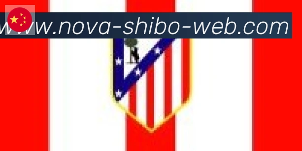 世博体育官网合作伙伴