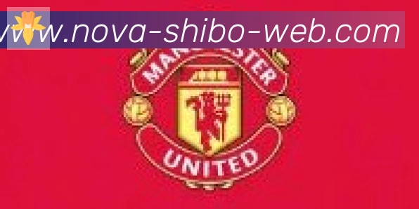 世博体育官网合作伙伴